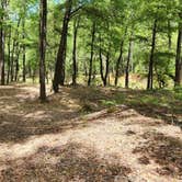 Review photo of Creekside Dispersed, Hogan Creek, Nimrod Lake Rec Area, AR by Fred S., June 14, 2024