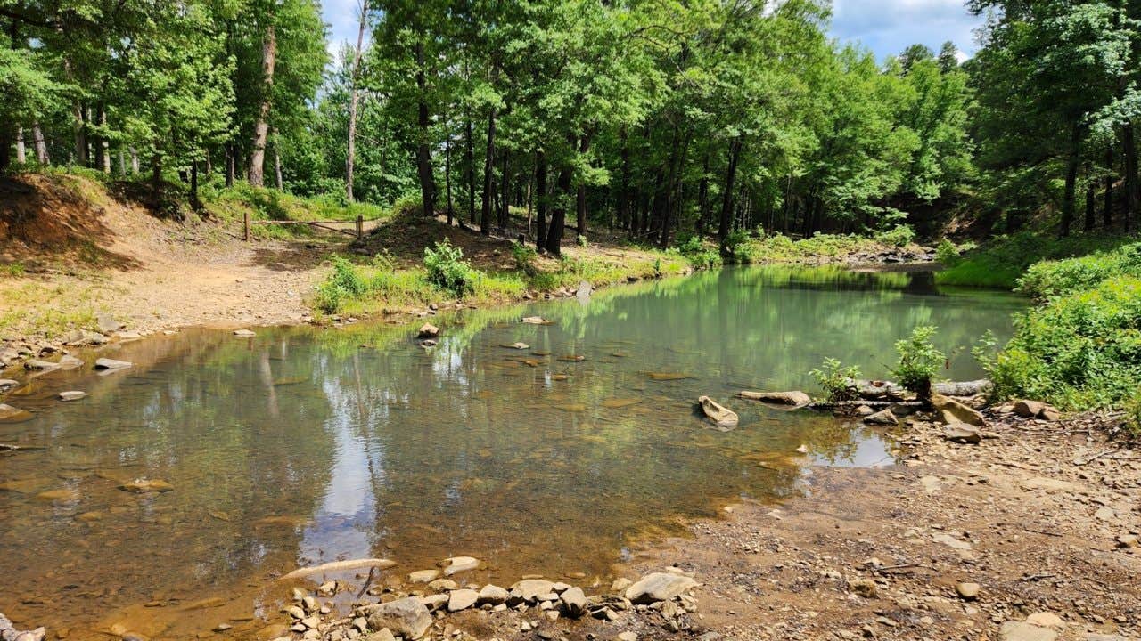 Fred S.'s photo of a dispersed camping area at Creekside Dispersed, Hogan Creek, Nimrod Lake Rec Area, AR near Royal, AR