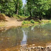 Review photo of Creekside Dispersed, Hogan Creek, Nimrod Lake Rec Area, AR by Fred S., June 14, 2024