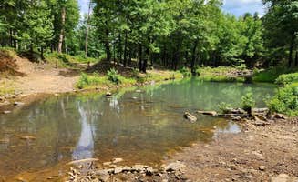 Fred S.'s photo of a dispersed camping area at Creekside Dispersed, Hogan Creek, Nimrod Lake Rec Area, AR near Russellville, AR