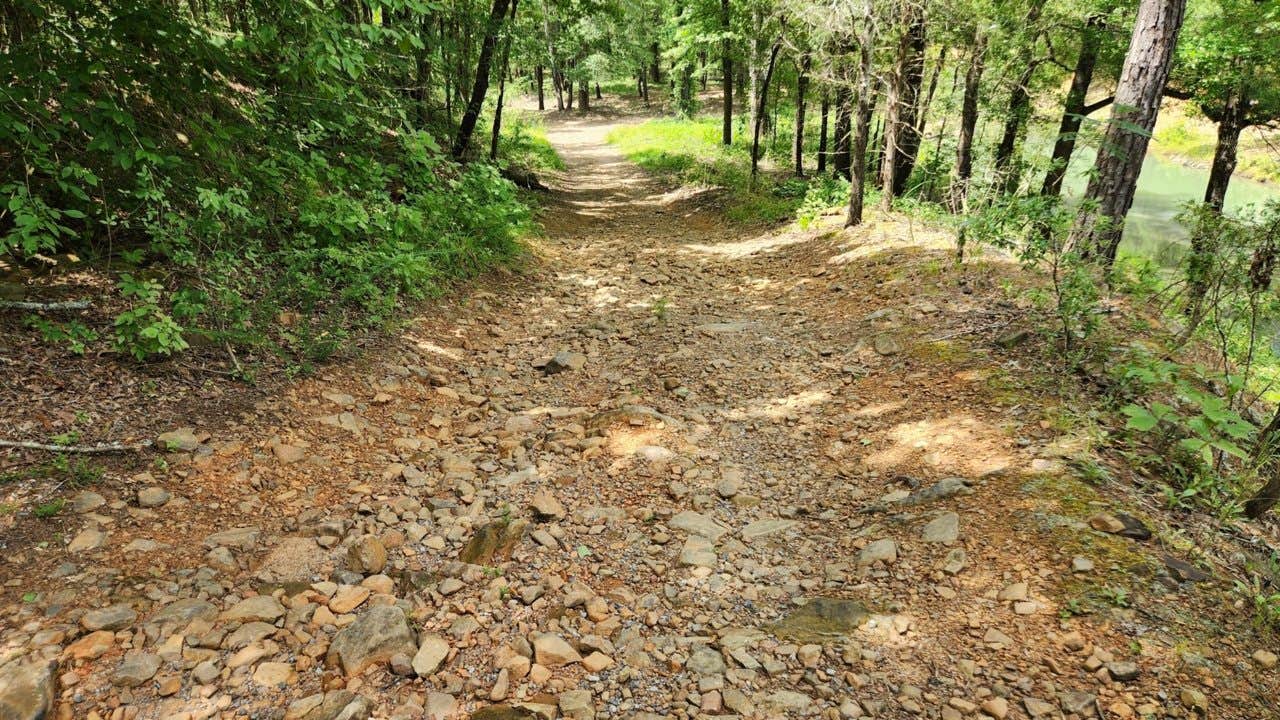 Camper-submitted photo at Creekside Dispersed, Hogan Creek, Nimrod Lake Rec Area, AR near Havana, AR