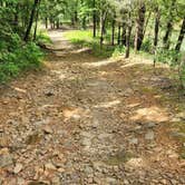 Review photo of Creekside Dispersed, Hogan Creek, Nimrod Lake Rec Area, AR by Fred S., June 14, 2024