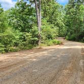 Review photo of Creekside Dispersed, Hogan Creek, Nimrod Lake Rec Area, AR by Fred S., June 14, 2024