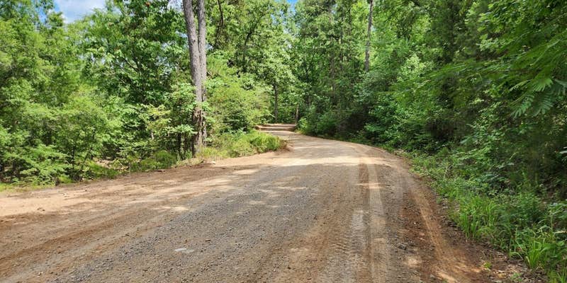 Camper submitted image from Creekside Dispersed, Hogan Creek, Nimrod Lake Rec Area, AR