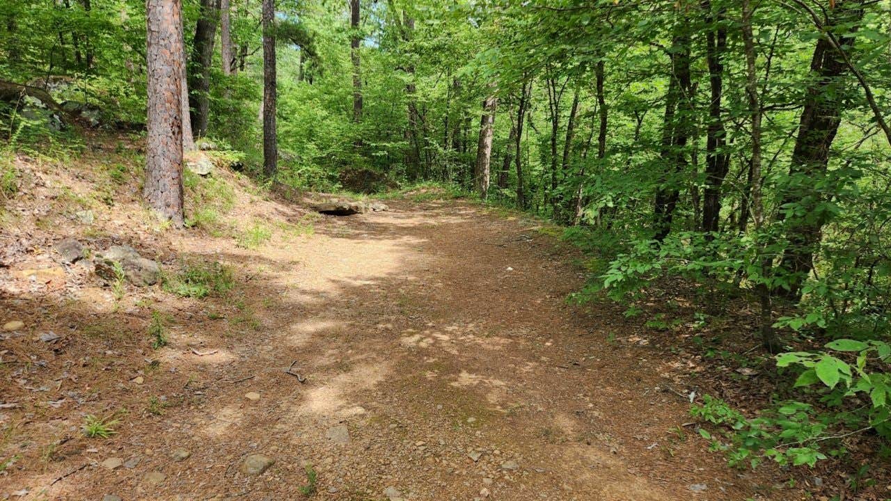 CR133/FR146 Hogan Creek Dispersed photo 5