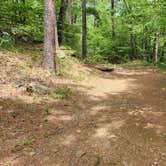 Review photo of CR133/FR146 Hogan Creek Dispersed, Ouachita NF, AR by Fred S., June 15, 2024