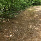 Review photo of CR133/FR146 Hogan Creek Dispersed, Ouachita NF, AR by Fred S., June 15, 2024