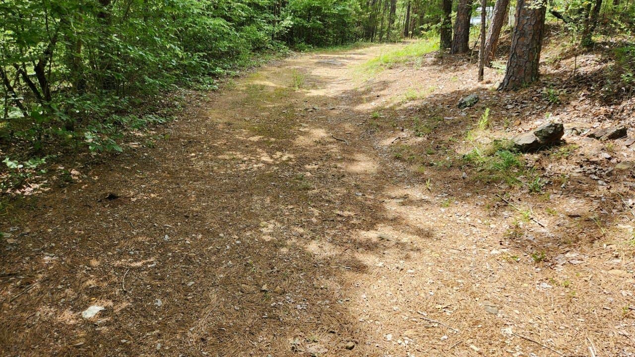 Camper submitted image from CR133/FR146 Hogan Creek Dispersed, Ouachita NF, AR - 3