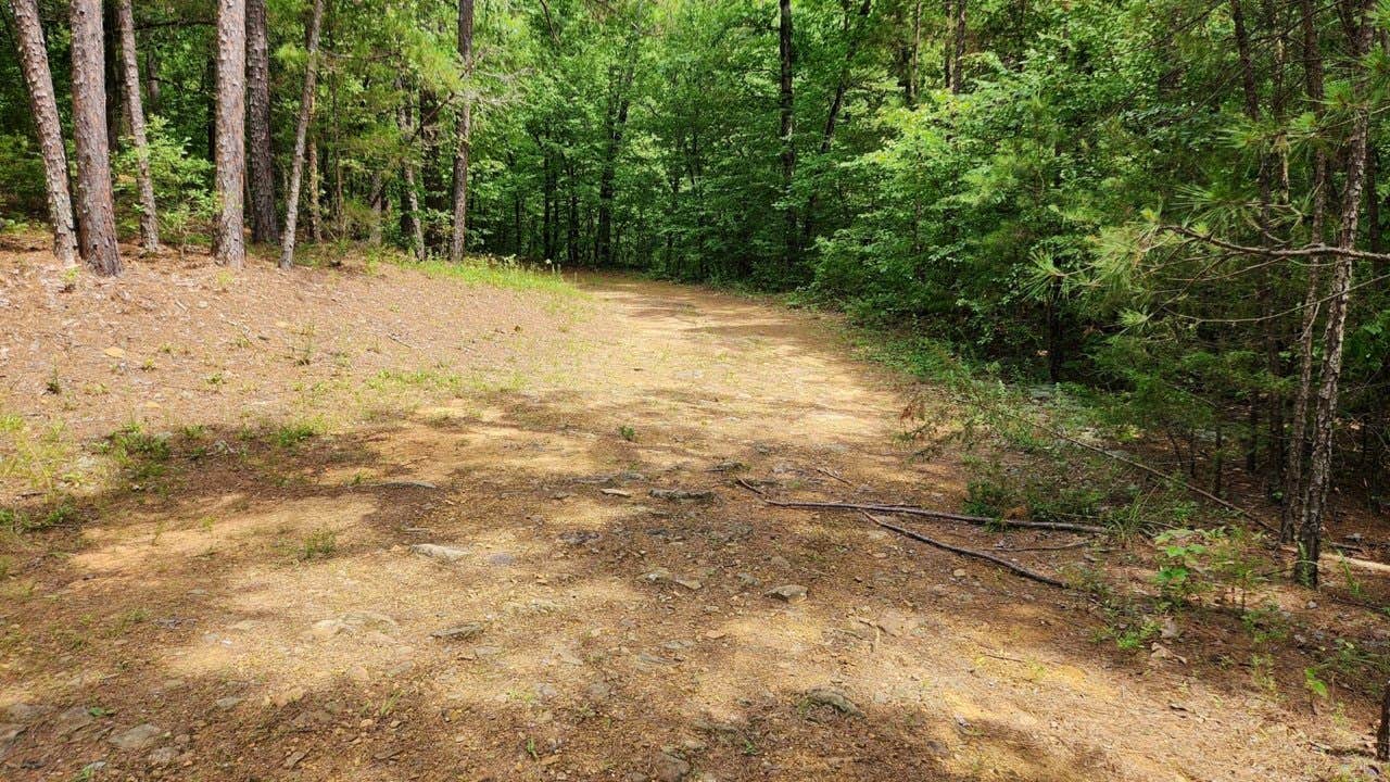 Camper-submitted photo at CR133/FR146 Hogan Creek Dispersed, Ouachita NF, AR near Ouachita Lake