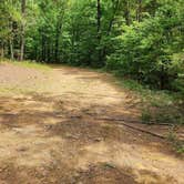 Review photo of CR133/FR146 Hogan Creek Dispersed, Ouachita NF, AR by Fred S., June 15, 2024