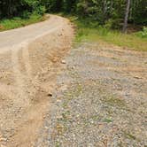 Review photo of CR133/FR146 Hogan Creek Dispersed, Ouachita NF, AR by Fred S., June 15, 2024