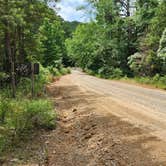 Review photo of CR133/FR146 Hogan Creek Dispersed, Ouachita NF, AR by Fred S., June 15, 2024