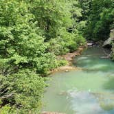 Review photo of CR133/FR146 Hogan Creek Dispersed, Ouachita NF, AR by Fred S., June 15, 2024