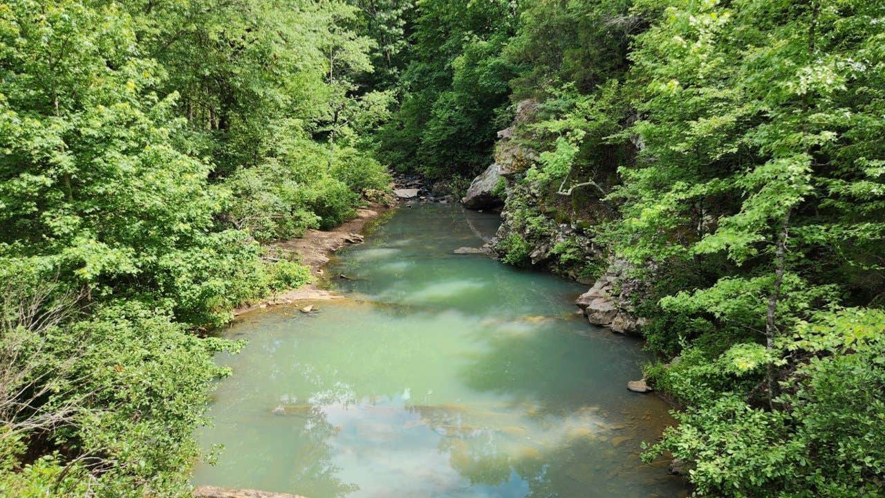 Camper submitted image from CR133/FR146 Hogan Creek Dispersed, Ouachita NF, AR - 1