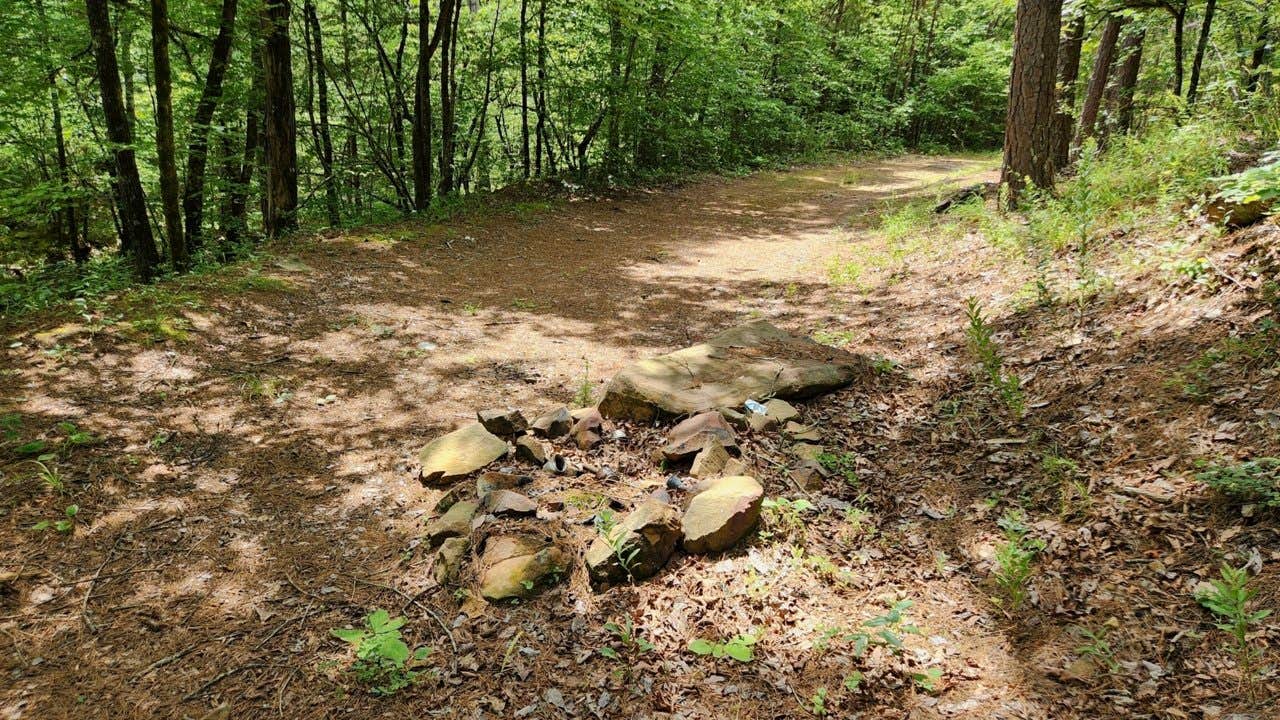 Camper-submitted photo at CR133/FR146 Hogan Creek Dispersed, Ouachita NF, AR near Ouachita Lake