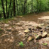 Review photo of CR133/FR146 Hogan Creek Dispersed, Ouachita NF, AR by Fred S., June 15, 2024