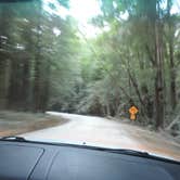 Review photo of Gold Bluffs Beach Campground — Prairie Creek Redwoods State Park by Michael K., September 14, 2016