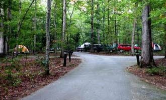 Camping near Burke Lake Park Campground: Oak Ridge Campground — Prince William Forest Park, Dumfries, Virginia