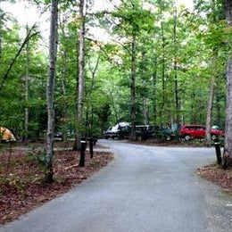 Public Campgrounds: Oak Ridge Campground — Prince William Forest Park