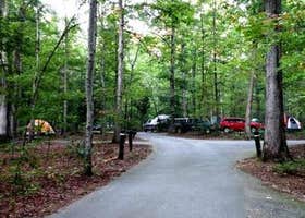 Oak Ridge Campground — Prince William Forest Park