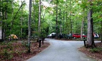 Oak Ridge Campground - Prince William Forest Park