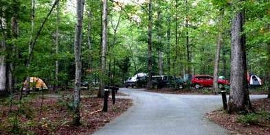 Camper submitted image from Oak Ridge Campground — Prince William Forest Park