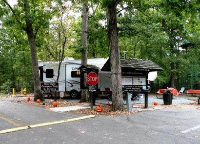 Camper-submitted photo at Oak Ridge Campground — Prince William Forest Park near Stafford, VA