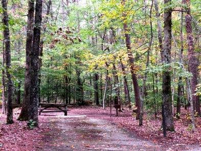 Camper-submitted photo at Oak Ridge Campground — Prince William Forest Park near Stafford, VA