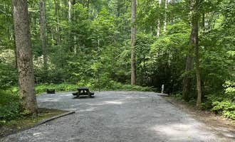Camping near Blackberry Blossom Farm & Campground: Rock Creek Recreation Area, Erwin, Tennessee