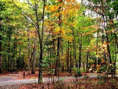 Camper-submitted photo at Oak Ridge Campground — Prince William Forest Park near Stafford, VA