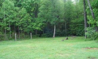 Camping near Chestnut Hollow Horse Campground — Grayson Highlands State Park: Old Virginia Group Horse Camp, Troutdale, Virginia