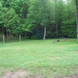 Public Campgrounds: Old Virginia Group Horse Camp
