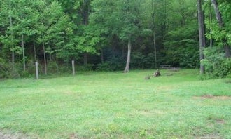 Camping near Raccoon Branch Campground: Old Virginia Group Horse Camp, Troutdale, Virginia