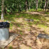 Review photo of Fourche Mountain Campground by Fred S., June 15, 2024