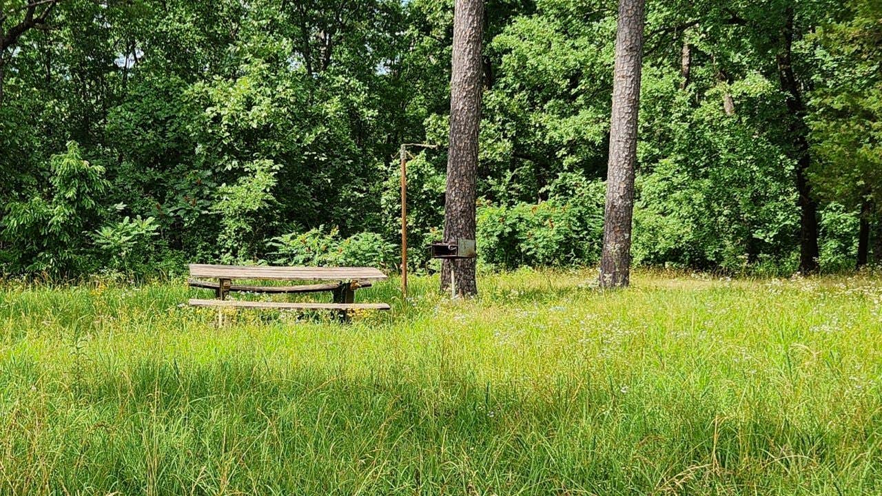 Camper-submitted photo at Fourche Mountain Campground near Nimrod Lake