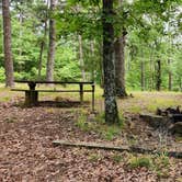 Review photo of Fourche Mountain Campground by Fred S., June 15, 2024