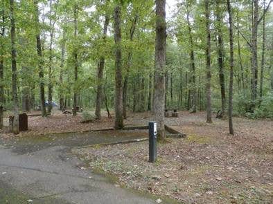 Camper submitted image from Otter Creek Campground — Blue Ridge Parkway - 4