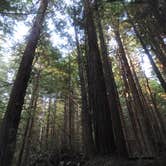 Review photo of Gold Bluffs Beach Campground — Prairie Creek Redwoods State Park by Michael K., September 14, 2016