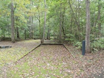 Camper submitted image from Otter Creek Campground — Blue Ridge Parkway - 1