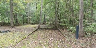 Camper submitted image from Otter Creek Campground — Blue Ridge Parkway