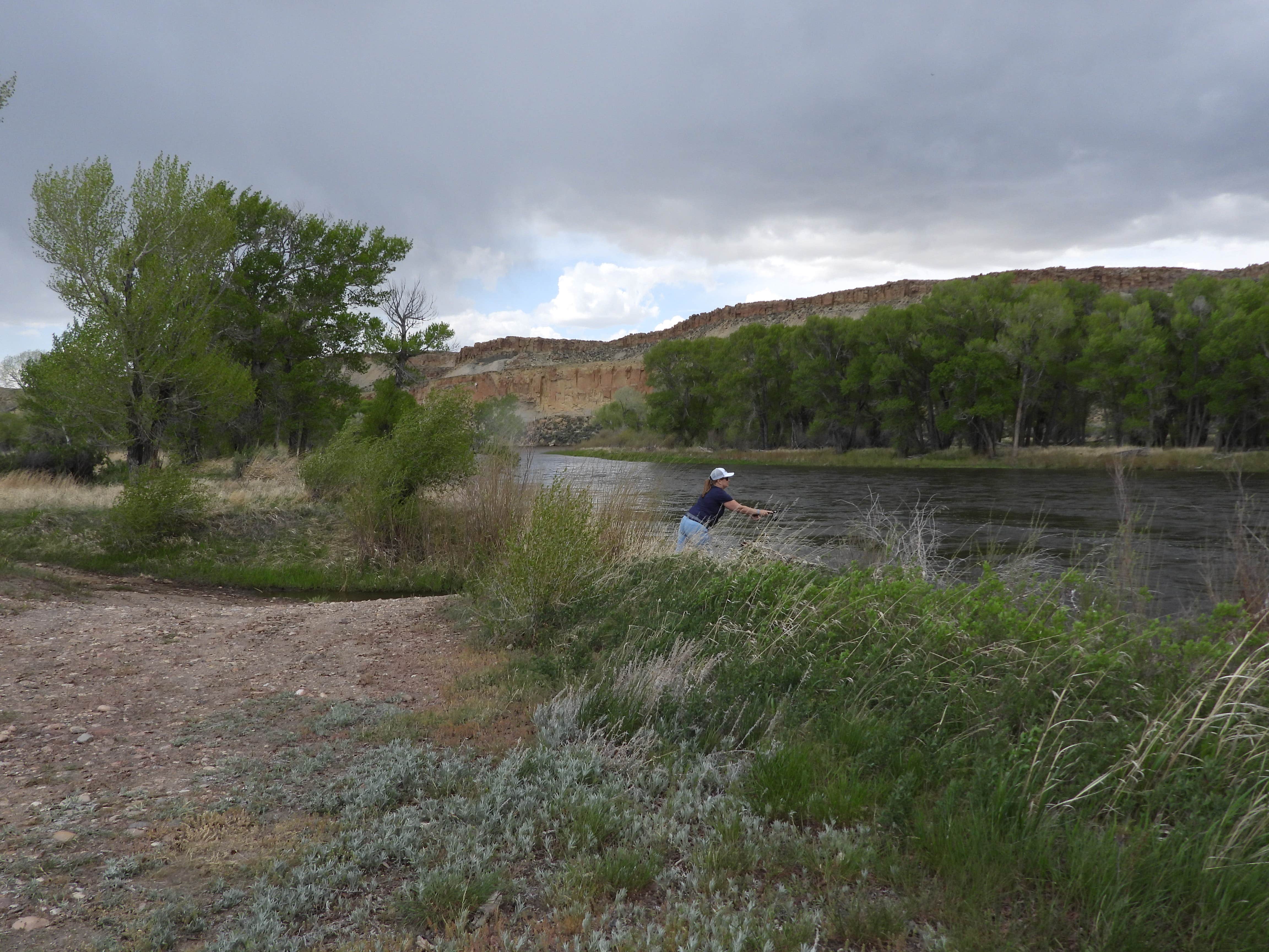 Douglas S.'s photo of a dispersed camping area at Sanger Access Area, Dispersed Camping near Elk Mountain, WY