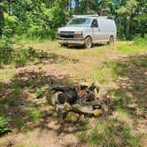 Review photo of FR 83W/CR84 Dispersed near Pond, Ouachita NF, AR by Fred S., June 15, 2024