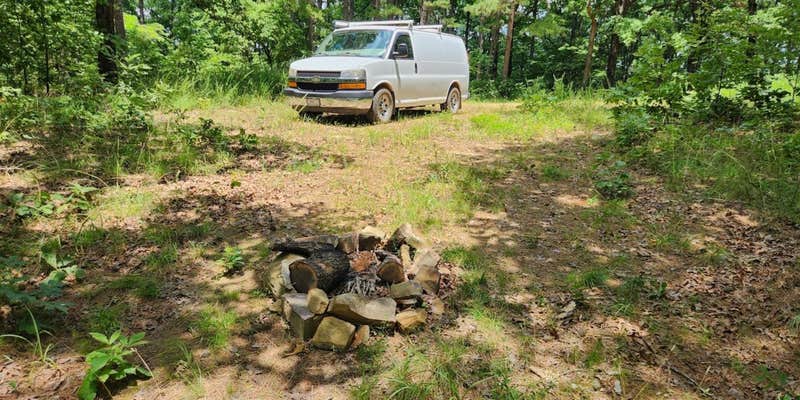 Camper submitted image from FR 83W/CR84 Dispersed near Pond, Ouachita NF, AR
