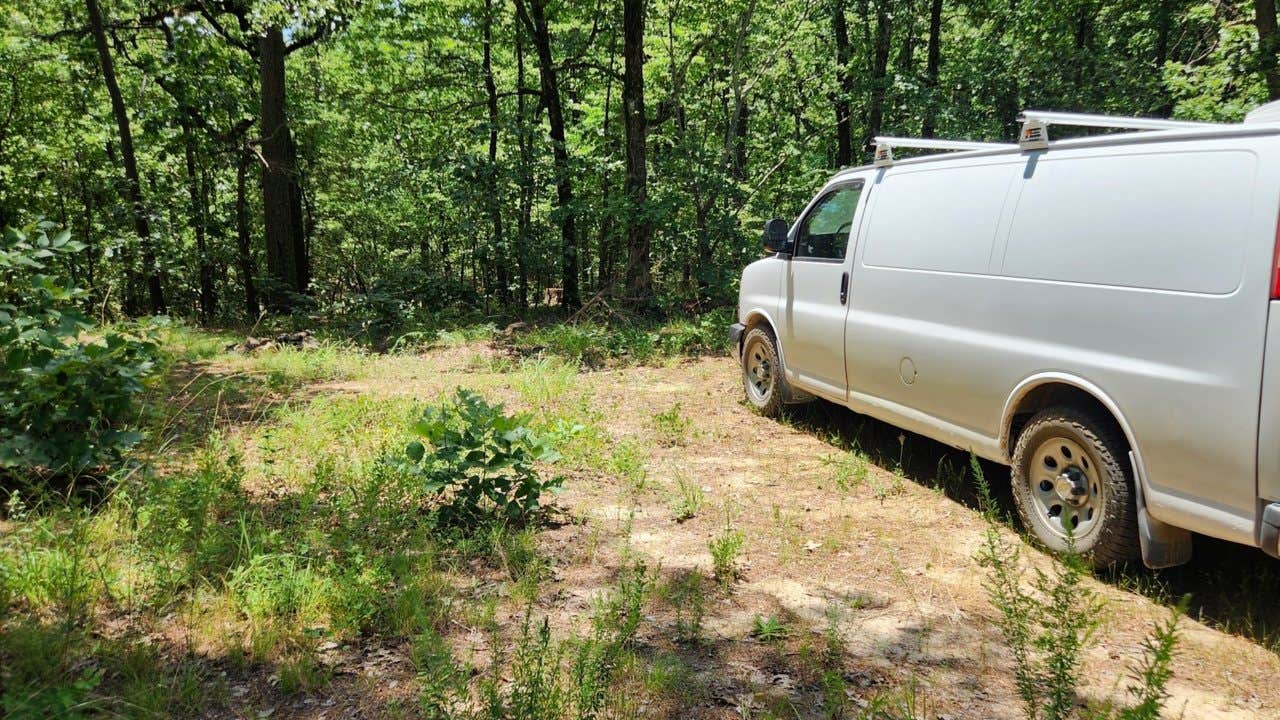 Camper-submitted photo at FR 83W/CR84 Dispersed near Pond, Ouachita NF, AR near Ouachita Lake