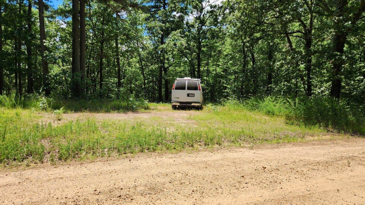 Camper submitted image from FR 83W/CR84 Dispersed near Pond, Ouachita NF, AR - 5