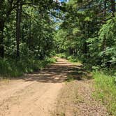Review photo of FR 83W/CR84 Dispersed near Pond, Ouachita NF, AR by Fred S., June 15, 2024