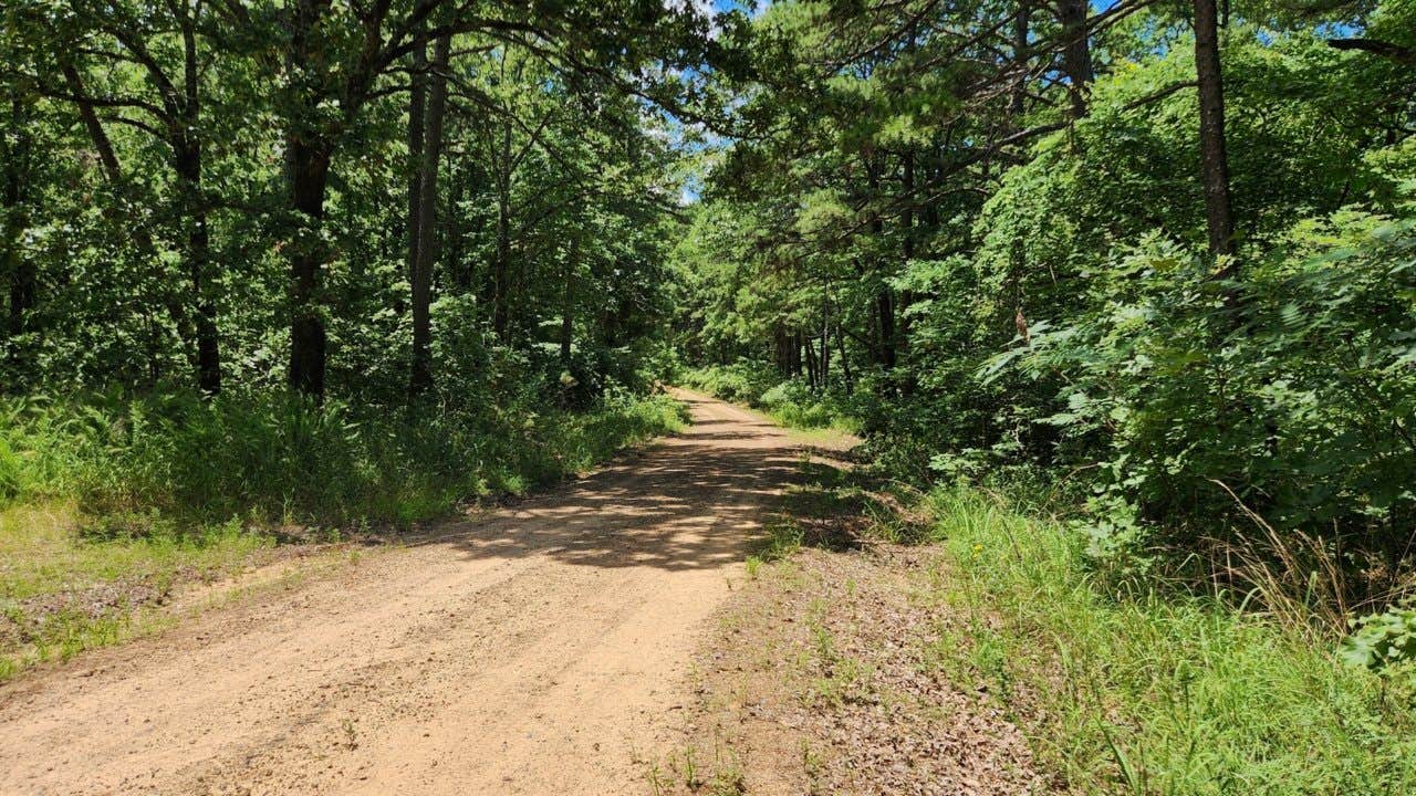 Camper submitted image from FR 83W/CR84 Dispersed near Pond, Ouachita NF, AR - 4