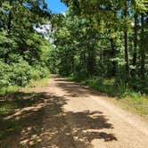 Review photo of FR 83W/CR84 Dispersed near Pond, Ouachita NF, AR by Fred S., June 15, 2024