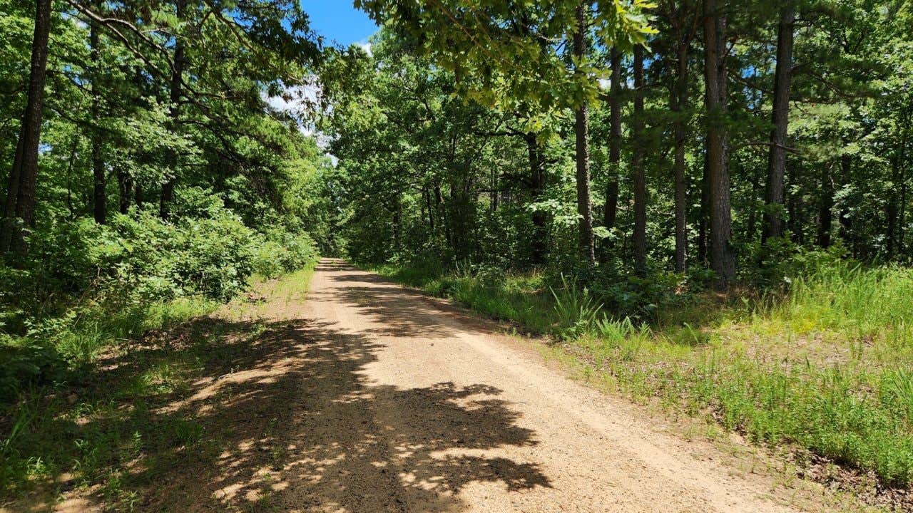 Camper submitted image from FR 83W/CR84 Dispersed near Pond, Ouachita NF, AR - 2