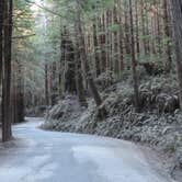 Review photo of Gold Bluffs Beach Campground — Prairie Creek Redwoods State Park by Michael K., September 14, 2016